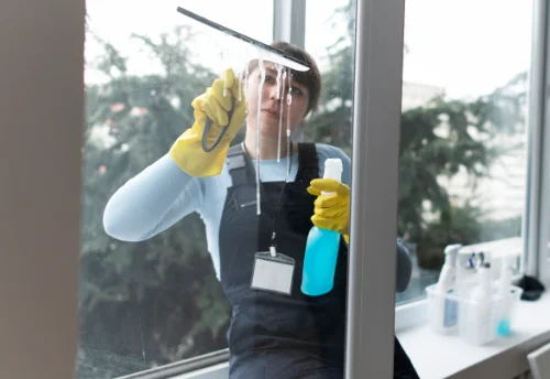 Nettoyage de vitres intérieures et extérieures à Saint-Maurice-en-Rivière